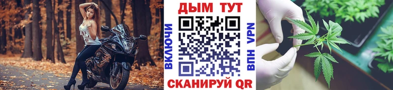 Бошки марихуана конопля Всеволожск